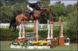 Les éléments sont répartis sur plusieurs plans verticaux plus ou moins espacés. C'est la définition des ...