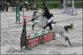 Où sont placés les soubassements ?