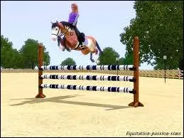 Si je pars de très loin de l'obstacle et je fais un grand saut, je me prends ...