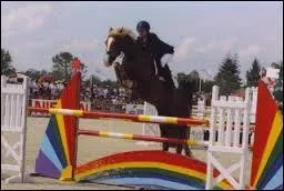 Quel est le risque d'un soubassement ?