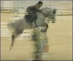 Quel galop doit-je avoir pour concourir en club Elite ?