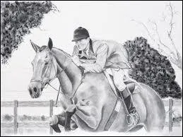 Les équipements mal mis (ex : martingales) peuvent-ils avoir une influence sur la qualité du saut ?