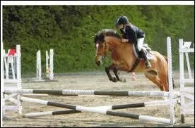 Pour encaisser un saut, il faut obligatoirement ...