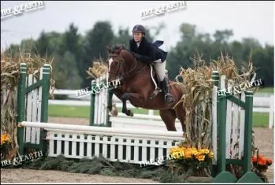 Par contre, il ne faut surtout pas ...