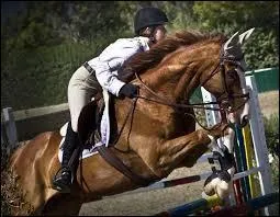 Quelle est la première étape du franchissement ?