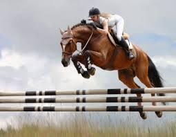 Equitation : le saut d'obstacle