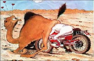 Mon premier permet d'avancer, mon deuxième amène un sourire, mon troisième est un oui russe, mon quatrième est une conjonction de coordination, mon tout traverse le désert !