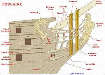 Ces pièces de bois soutiennent l'éperon du bateau.