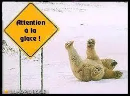 Paf ! Qu'est-il arrivé à ce pauvre ours polaire ?