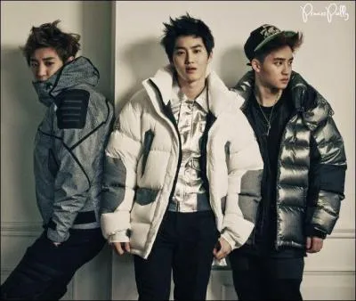 Avec quel autre membre de EXO-K Baekhyun tient-il bien l'alcool ?