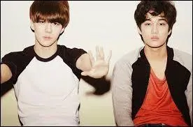 Dans quel clip Kai est-il apparu en compagnie de Se Hun ?