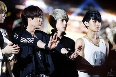 Si Se Hun avait eu une soeur, avec quel membre aurait-il voulu qu'elle se marie ?