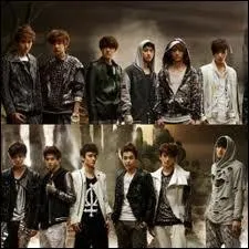 En quelle année ont-ils débuté ?