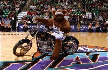 Quelle est l'activité fétiche de Bear, la mascotte de Utah ?