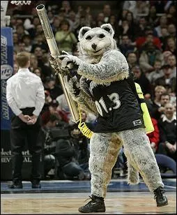 Comme l'indique le surnom de leur équipe, quelle est l'espèce de la mascotte de Minnesota ?