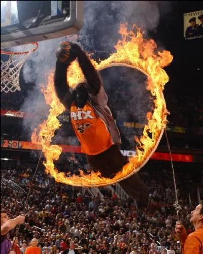 Pour quelle équipe officie Gorilla qui enflamme régulièrement l'US Airways Center ?