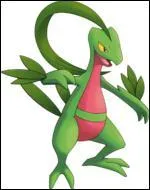 Quel est ce pokémon, que Sacha possède dans l'animé ?