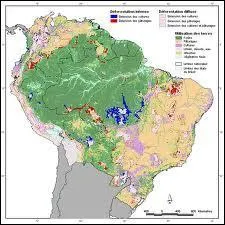 Qu'est-ce qui est représenté en vert ?