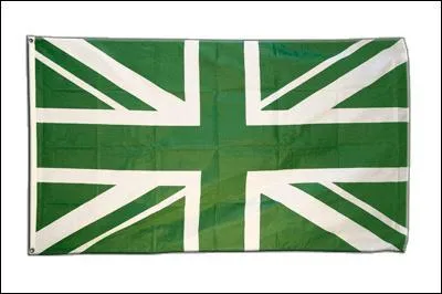 Traduis le mot "vert" en anglais :