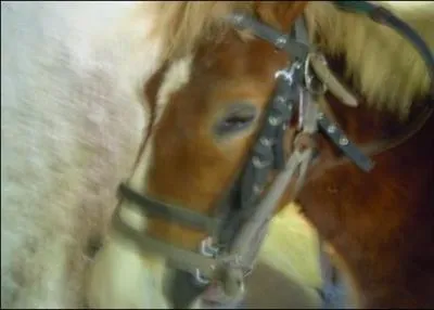 Quelle est cette marque ?