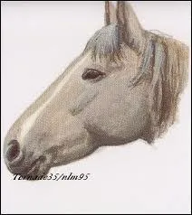 Quelle est cette marque ?