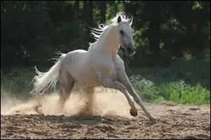 Que veut dire le mot "transition" ?