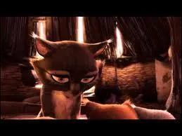 Dans quelle vidéo un chat se fait-il trahir par son ami et devient-il le chat du pharaon ?