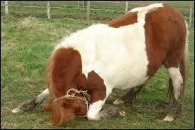 Comment s'appelle ce tour ?