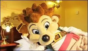 Combien d'étoiles possède-t-il ?