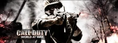 Quels sont les développeurs du jeu "Call Of Duty : World at War" ?