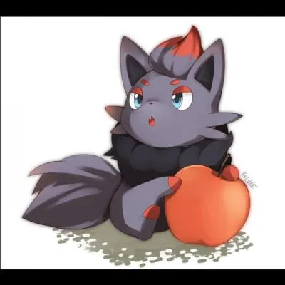 De quel type est Zorua ?