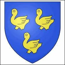 Ce blason appartient à la ville francilienne de Sarcelles. Elle se situe dans le département ...