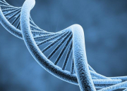 Quiz L'ADN et le lien entre ADN et protines
