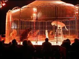 Quand la "grande cage centrale" est-elle introduite ? (Elle permet la présentation, très visible pour les spectateurs, de numéros de cirque avec des animaux sauvages (sur la piste).)