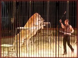 Par qui la "grande cage centrale" est-elle introduite ?