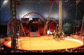 Quelle est la taille standard des pistes de cirque ?