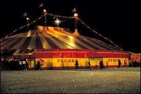 Quand les premiers chapiteaux sont-ils créés ?