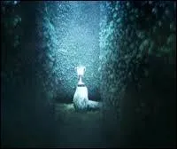 Durant la troisième tâche on apprend que le trophée est ....