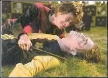 Lors du combat opposant Voldemort à Harry que lui demande Cedric ?