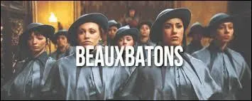 En arrivant à Poudlard les élèves accueillent les élèves de Beaubâtons... , mais comment arrivent ces élèves ?
