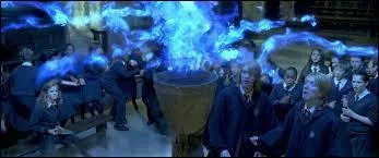 Quels sont les trois champions sélectionnés pour le tournoi des trois sorciers ?