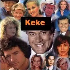 C'est un feuilleton télévisé américain. C'est le 24 janvier 1981 sur TF1 que ce feuilleton a été vu pour la première fois en France. Le producteur de cette série est Leonard Katzman. Quel est le nom de cette série ?