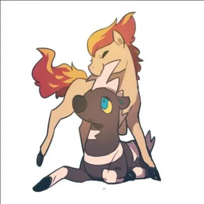 Qui sont ces deux Pokémon ?