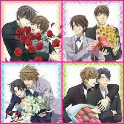 Qui sont les héros de 'Sekaiichi Hatsukoi' ?