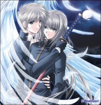 Qui sont les héros de 'Angel's Feather' ?