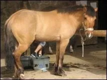 Quelle est cette couleur ?