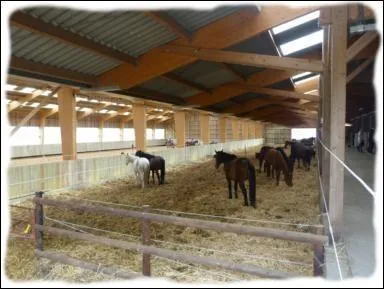 Quel est cet hébergement ?