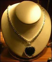 Comment s'appelle ce collier ?