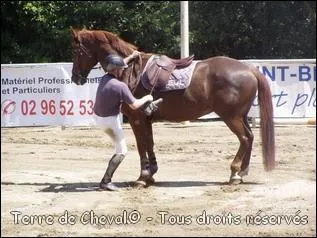 De quel côté et avec quelle jambe monte-t-on à cheval ?
