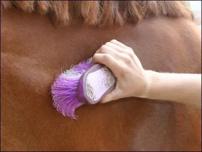 Dans quel ordre de passage faut-il passer les brosses de pansage ?